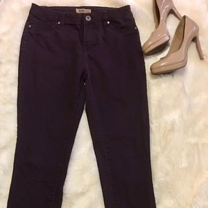 EUC Dark Purple Stretchy Skinny Jeans